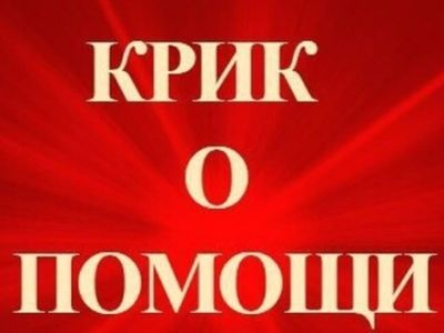 Крик о помощи. Фото: ВКонтакте